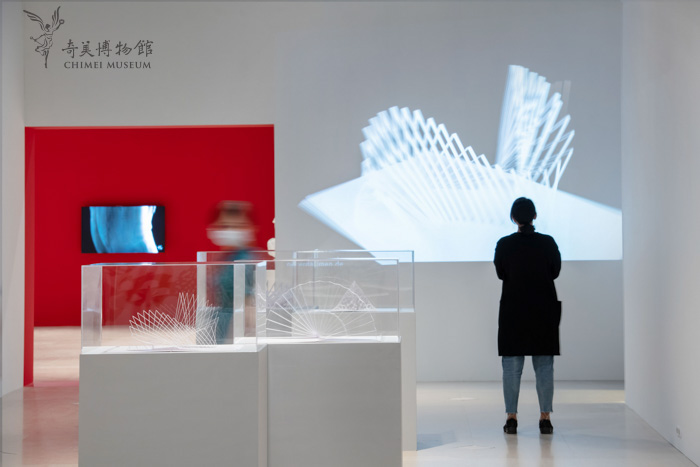 紙上奇蹟2-大衛