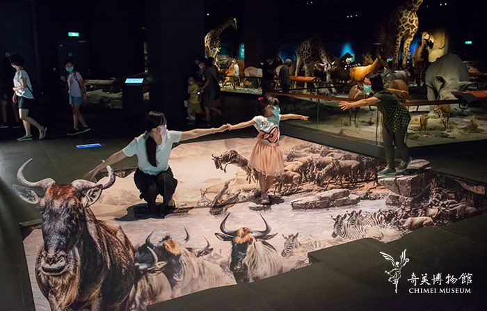 動物廳-3D立體地景「天國之渡」